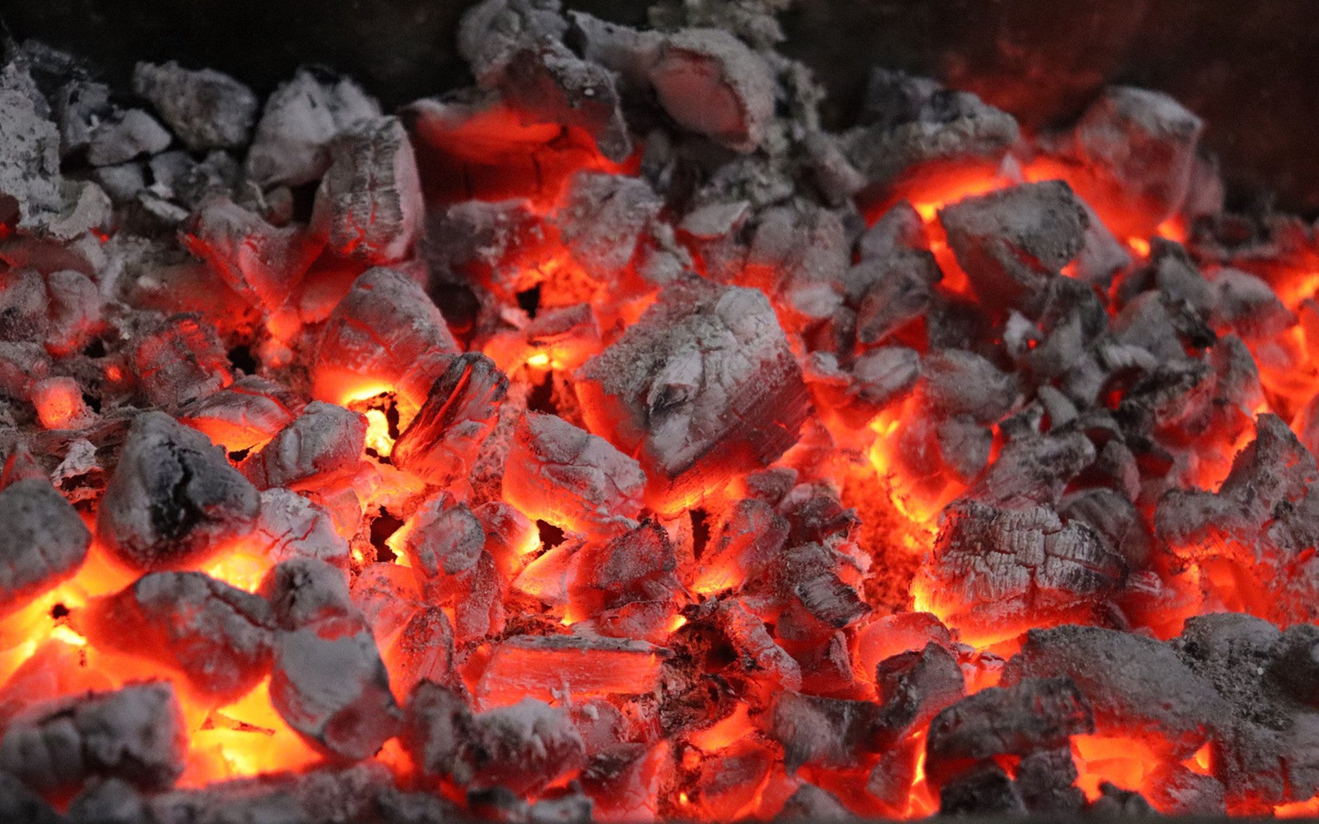 Coal