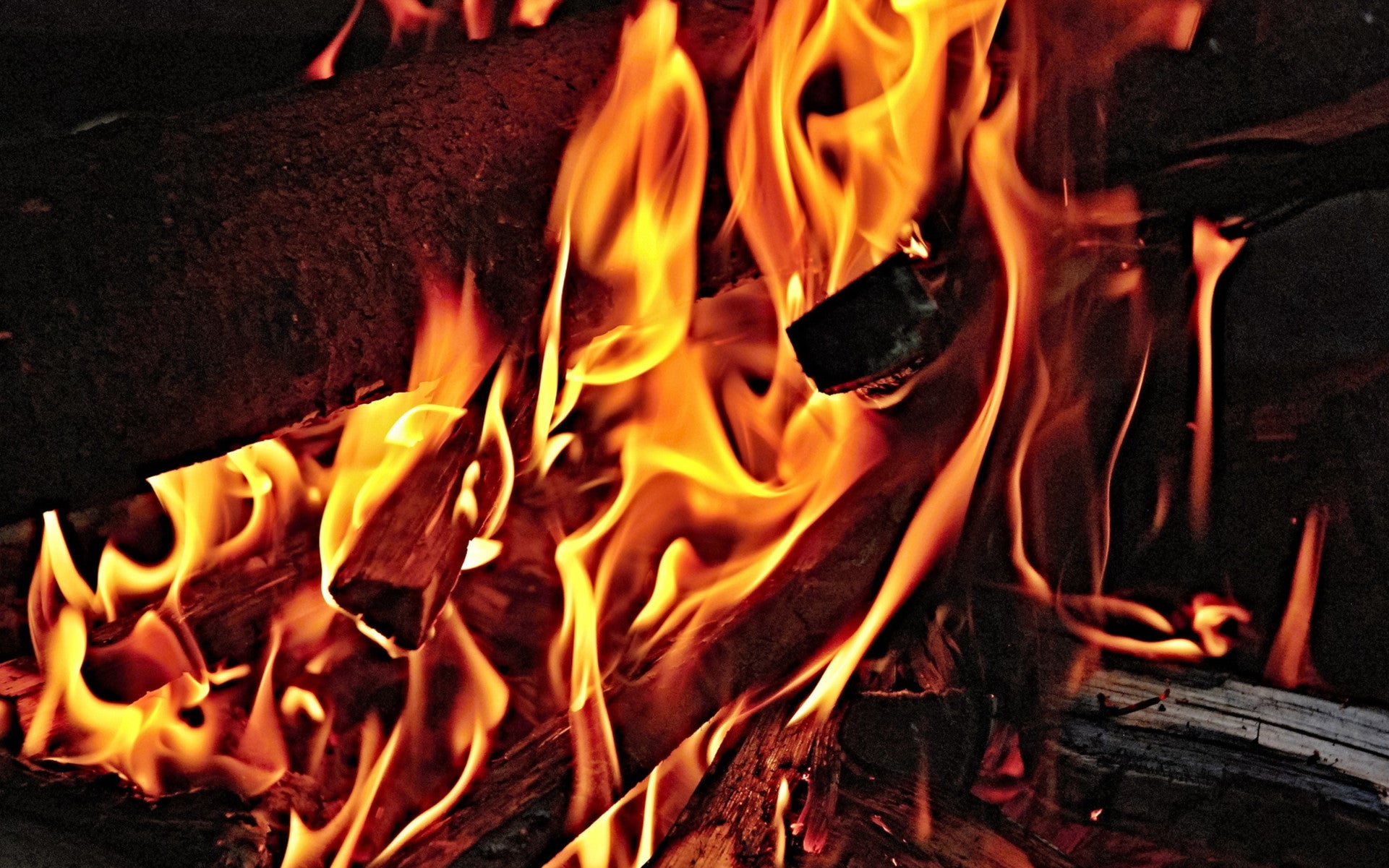 Firewood